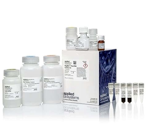 magmax plant rna isolation kit.